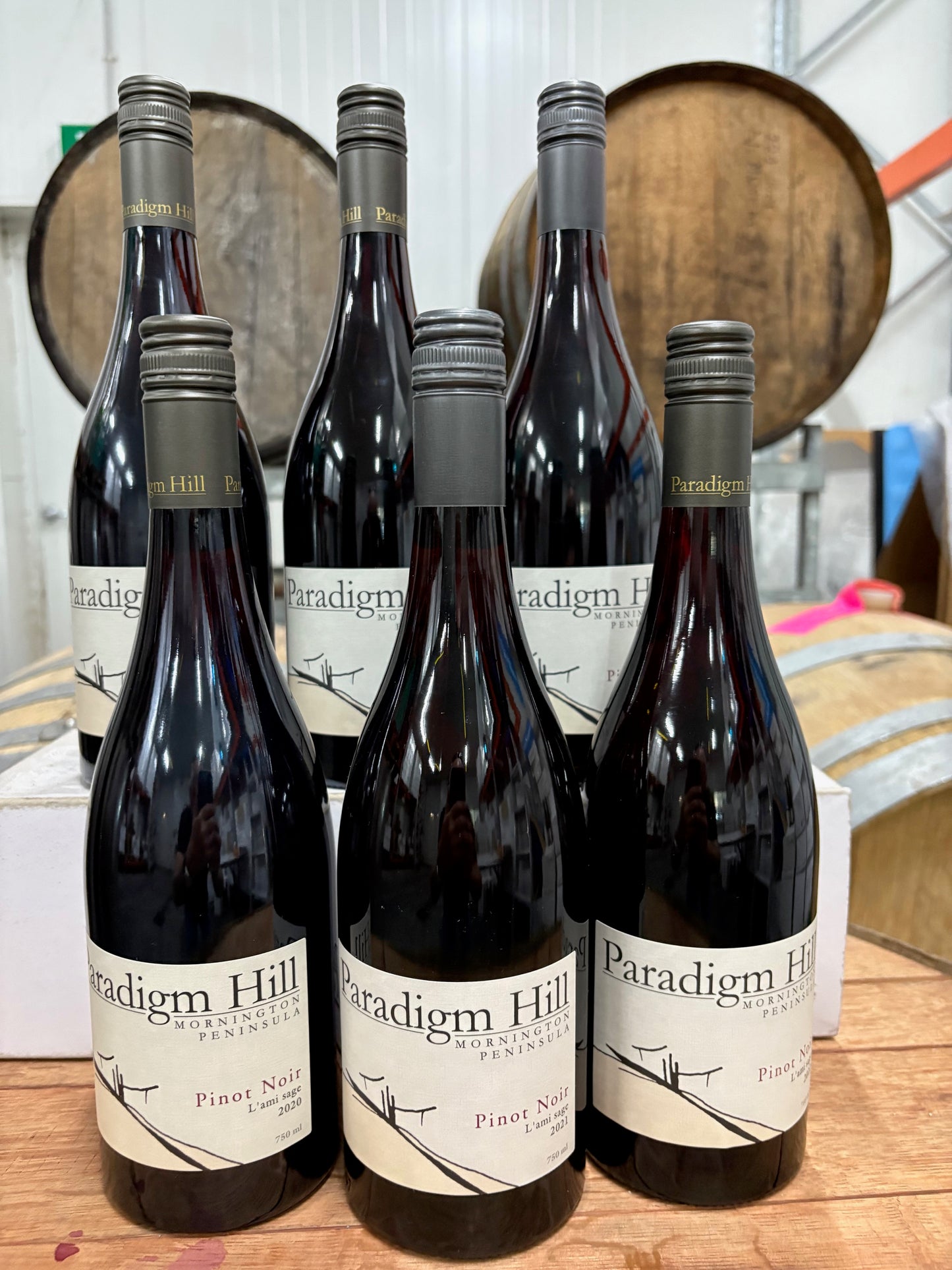 Pinot Noir L’ami sage – 6 bottle mixed vintage pack